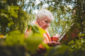 5 Fun and Positive Activities For Seniors
