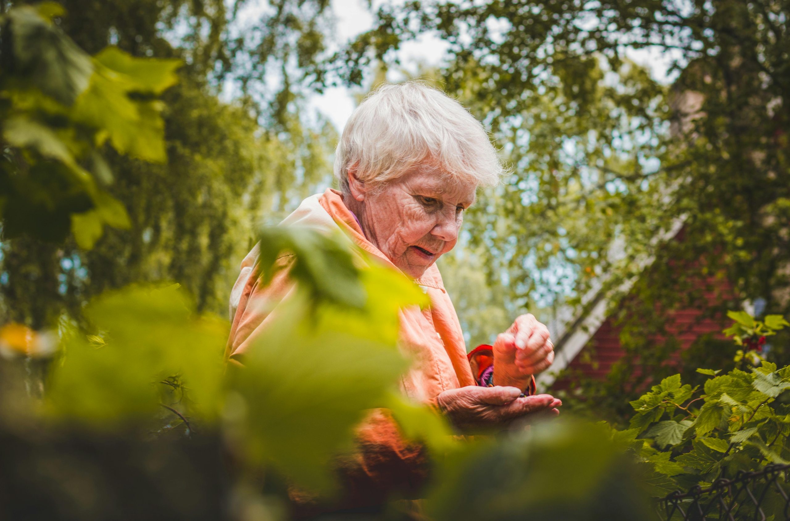 5 Fun and Positive Activities For Seniors