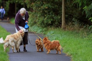 The Role of Pets in Senior Well-being